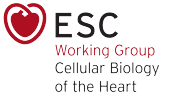 ESC Working Group on Cellular Biology of the Heart